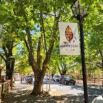 Premium Adelaide Hills Cleland Wildlife and Hahndorf Minibus Tour - What Makes This Tour Stand Out?