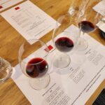 Premium All-Inclusive Barossa Food and Wine Minibus Tour - Who Will Find This Tour Most Enjoyable?