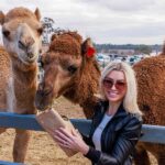 Premium Paddock to Plate Experience - An Honest Look at the Paddock to Plate Experience