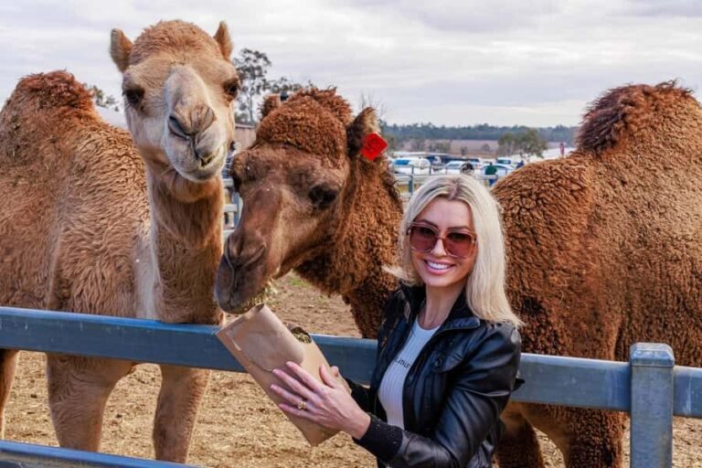 Premium Paddock to Plate Experience - An Honest Look at the Paddock to Plate Experience