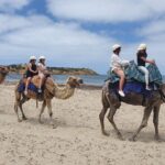 Premium Victor Harbor, Port Elliot and d'Arenberg Minibus Tour - Transportation, Pacing, and Small Group Benefits