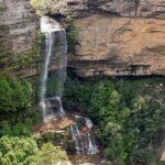Private All Blue Mountains Day Tour - Who Will Love This Tour?