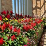 Private Auckland Best Top 5 Spots Half day Tour - Who Is This Tour Best For?