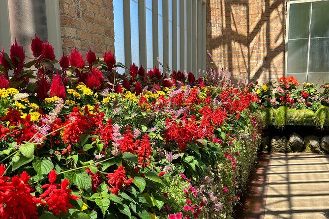 Private Auckland Best Top 5 Spots Half day Tour - Who Is This Tour Best For?