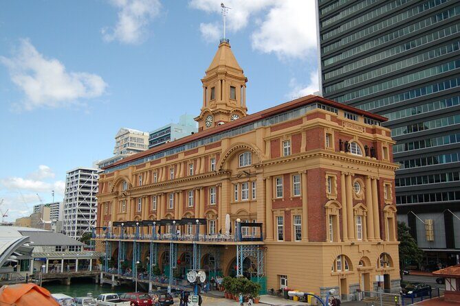 Private Auckland City Highlights Tour - The Experience: What You Can Expect