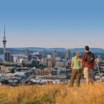 Private Auckland Luxury Tour - Who Should Consider This Tour?
