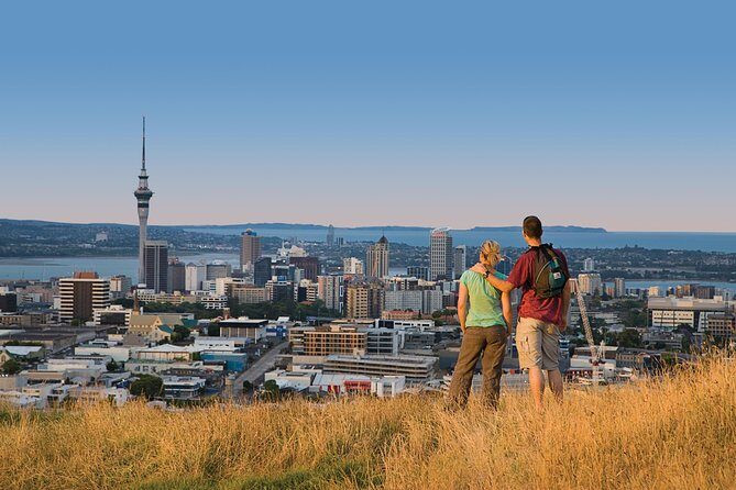 Private Auckland Luxury Tour - Who Should Consider This Tour?