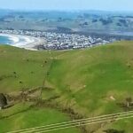 Private Auckland North Eastern Coast Tour - Who Should Consider This Tour?