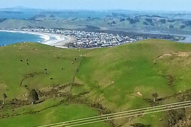 Private Auckland North Eastern Coast Tour - Who Should Consider This Tour?