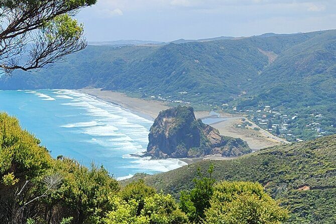 Private Auckland West Coast Tour Piha Beach and Karekare Falls - A Closer Look at the Itinerary
