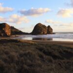 Private Auckland's West Coast - Piha/ Muriwai - Wild West Tour - The Flexibility and Customization