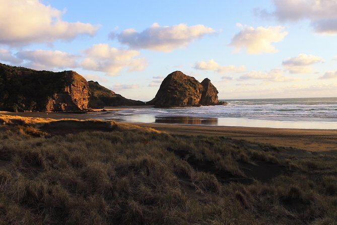Private Auckland's West Coast - Piha/ Muriwai - Wild West Tour - The Flexibility and Customization