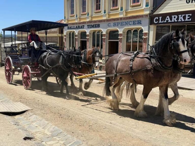 Private Ballarat Sovereign Hill Gold Mine Tours - Analyzing the Value