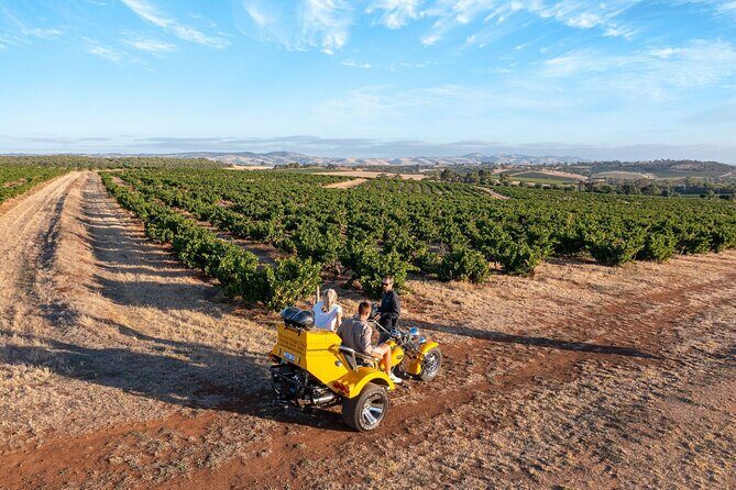 Private Barossa's Best Sightseeing Tour for Two - Final Thoughts