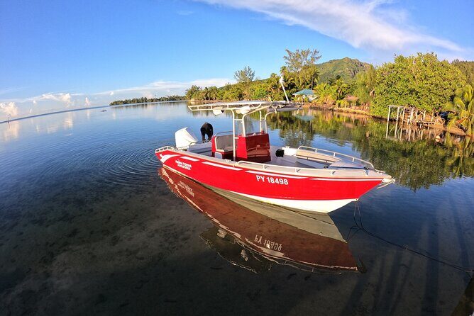 Private Big Game Fishing Day - The Lagoon Stop: A Taste of Polynesian Life