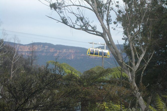 PRIVATE Blue Mountains day tour with local guide. - The Review Highlights