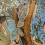 Private Blue Mountains High Country Day Trip from Sydney - Why this Tour Works