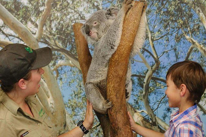 Private Blue Mountains High Country Day Trip from Sydney - Why this Tour Works