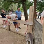 PRIVATE Blue Mountains Scenic World Australian Wildlife & Cruise - What’s Included and What to Expect