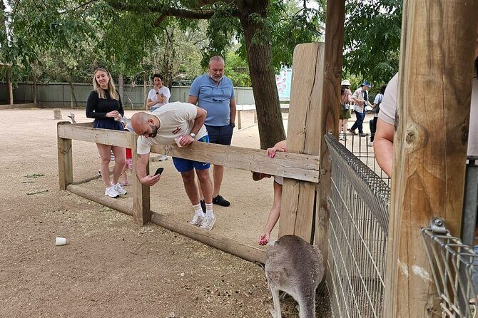 PRIVATE Blue Mountains Scenic World Australian Wildlife & Cruise - What’s Included and What to Expect