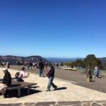 PRIVATE Blue Mountains tour & Koalas, Kangaroos, Cruise plus more - Pricing and Overall Value