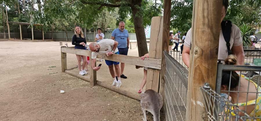 Private BlueMountains, ScenicWorld & AustralianWildlife Tour - What Sets This Tour Apart