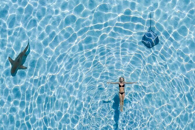 Private Boat Tour of Moorea Lagoon - Final Thoughts