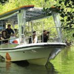 Private Cape Tribulation & Mossman Gorge Day Tour - Why This Tour Offers Excellent Value