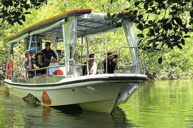 Private Cape Tribulation & Mossman Gorge Day Tour - Why This Tour Offers Excellent Value