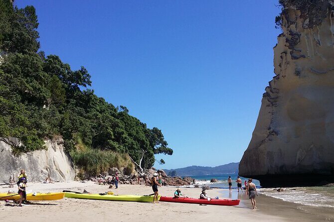 [PRIVATE] Cathedral Cove and Hot Water Beach - Who Should Consider This Tour?