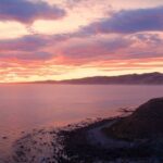 Private Christchurch City Highlight Half Day Tour - In The Sum Up