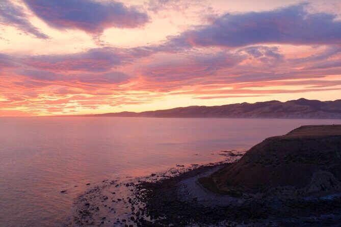 Private Christchurch City Highlight Half Day Tour - In The Sum Up