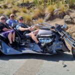 Private Cruise Ship Passengers Tour, Sightseeing in Christchurch - Why Choose This Tour?