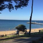 Private custom Penguin Tour with Premium Penguin Tickets - Price Point and Overall Value