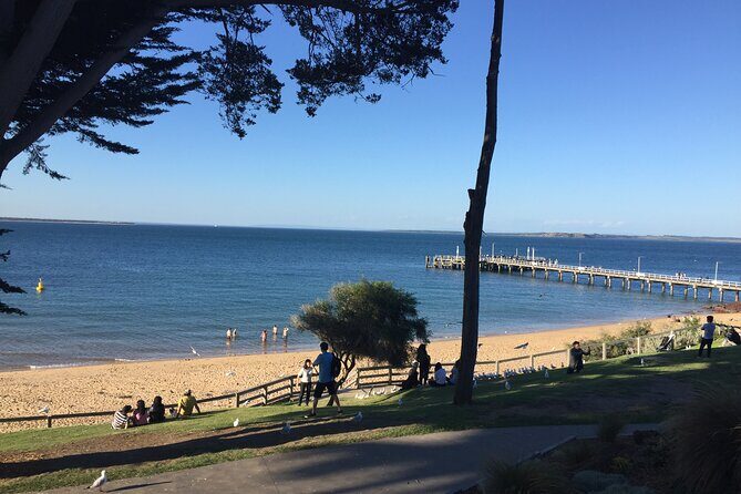 Private custom Tour of Phillip Island With Penguin Parade - What the Tour Includes and What to Consider