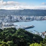 Private custom tour with a local guide Wellington - The Experience: What You’ll Love
