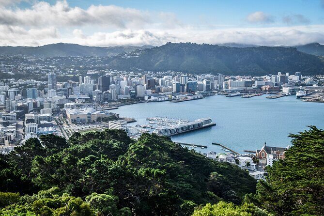 Private custom tour with a local guide Wellington - The Experience: What You’ll Love