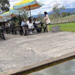 Private Customized Yarra Valley Wine Tour - What the Tour Includes and What Not