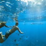 Private Discovery of the Marine Fauna of Moorea - The Value of a Private Tour in Moorea