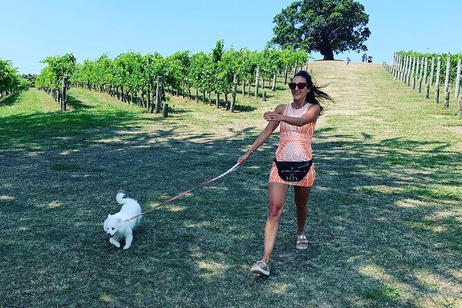Private Dog Friendly Wine Tour with your Local Guide - Breaking Down the Itinerary