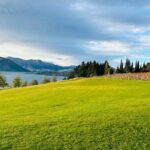 Private Driver Hire  Full-Day Touring-Auckland/Rotorua/Hamilton - Authentic Experiences from Reviews