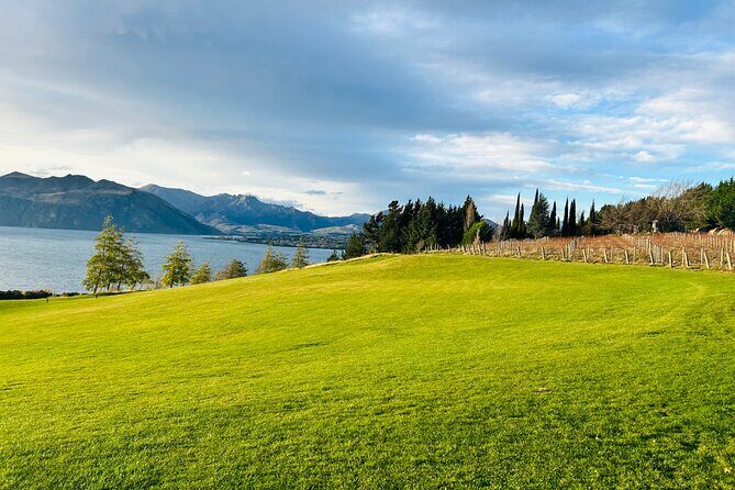 Private Driver Hire  Full-Day Touring-Auckland/Rotorua/Hamilton - Authentic Experiences from Reviews