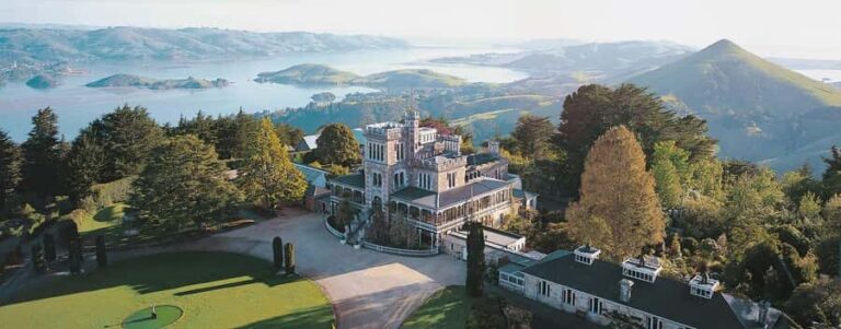 Private Dunedin City Highlights and Otago Peninsula Day Tour - Analyzing the Value: Price and Overall Experience