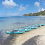 Private Electric Paddle Cruise in Bora Bora - How the Tour Unfolds: A Detailed Breakdown