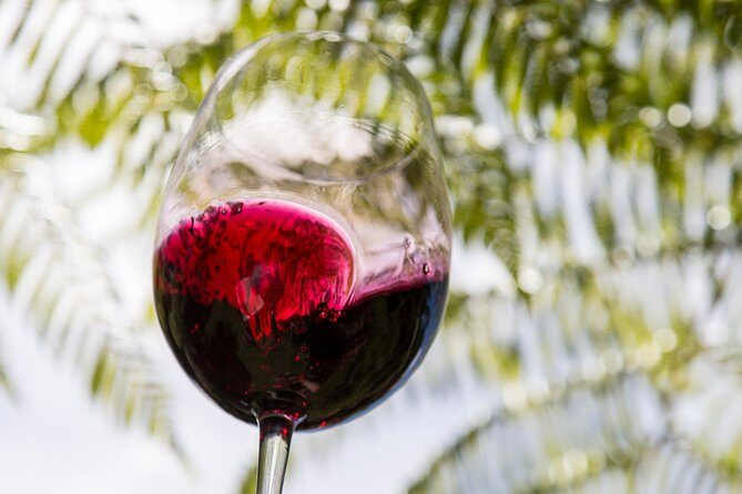 Private Essence of Waiheke Wine Tour - The Sum Up: Who Is This Tour Best For?