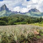 Private excursion to Moorea, photo tour & immersive discovery - Frequently Asked Questions