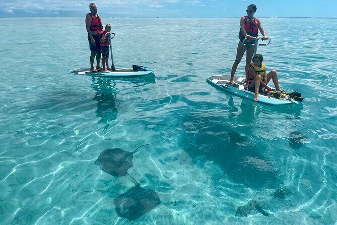 Private Excursion with E-Board in Moorea with snorkeling - In-Depth Review of the Itinerary