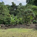 Private Full-Day Tahiti  Grotto, Gardens & Panoramas - Detailed Breakdown of the Itinerary