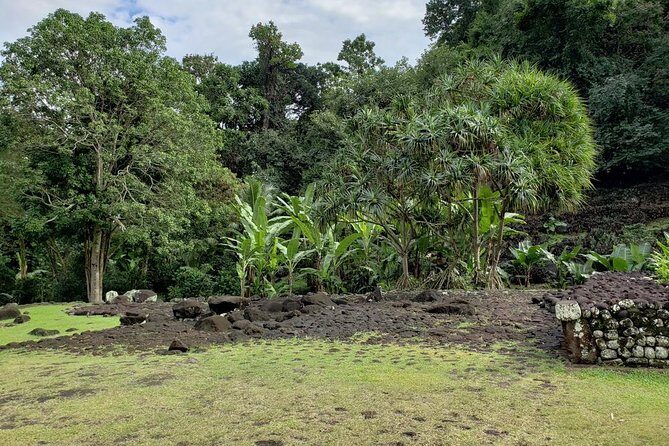 Private Full-Day Tahiti Grotto, Gardens & Panoramas - Detailed Breakdown of the Itinerary