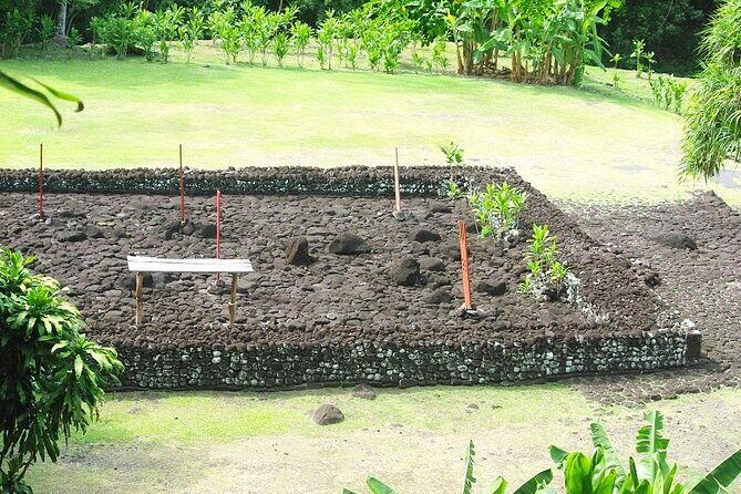 Private Full Day Tour of Tahiti - Who Will Love This Tour?